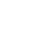 FSSMF